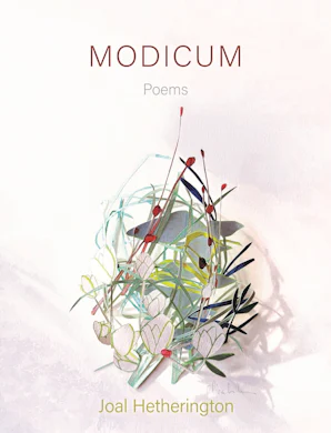 Modicum - Casemate IPM