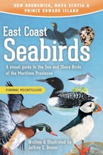 East Coast Seabirds