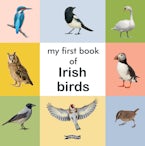My First Book of Irish Birds